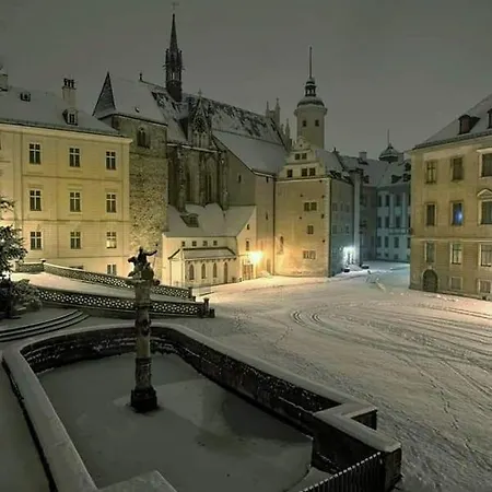 Pension Altenburg City Exterior photo