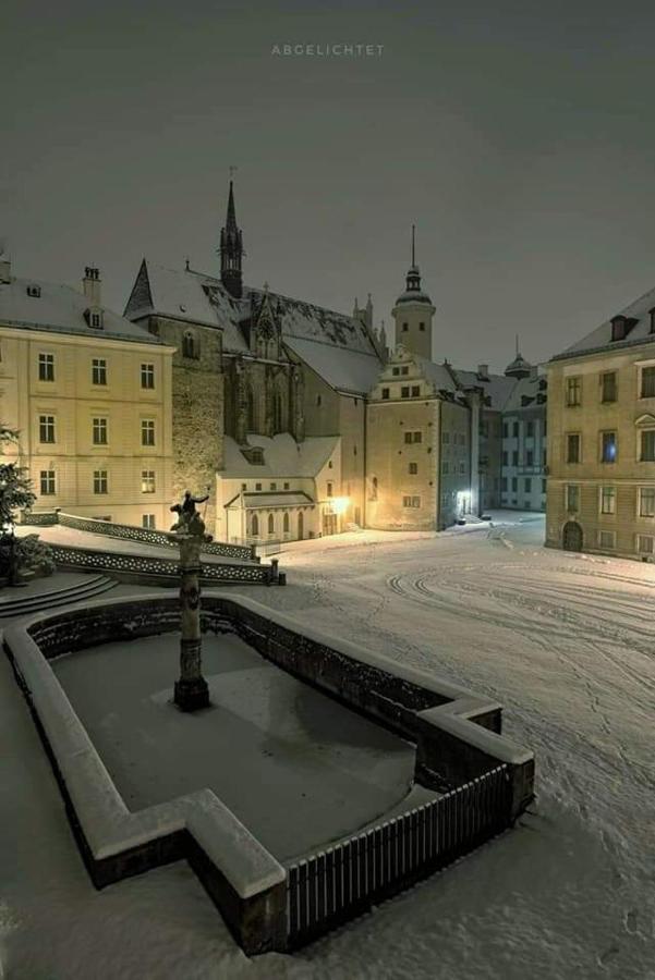 Pension Altenburg City *